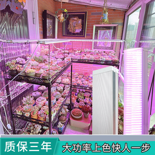 星锐LED多肉补光灯上色 室内花卉绿植育苗 全光谱植物灯仿太阳光