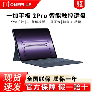 一加平板2 Pro平板一加pad2pro平板键盘磁吸平板支架保护套一加平板键盘 Pro原装 智能触控键盘适配一加平板2
