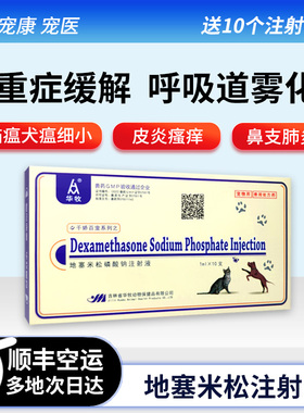 宠物地塞米松注射液猫咪狗狗呼吸道雾化皮炎瘙痒抗过敏腹泻血便