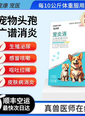 猫咪狗狗头孢羟氨苄片消炎药感冒拉稀腹泻皮肤感染尿血产后感染