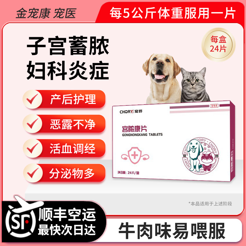 宫脓康清益母草子宫蓄脓