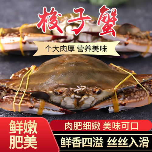 舟山大号速冻梭子蟹顺丰冷链包邮