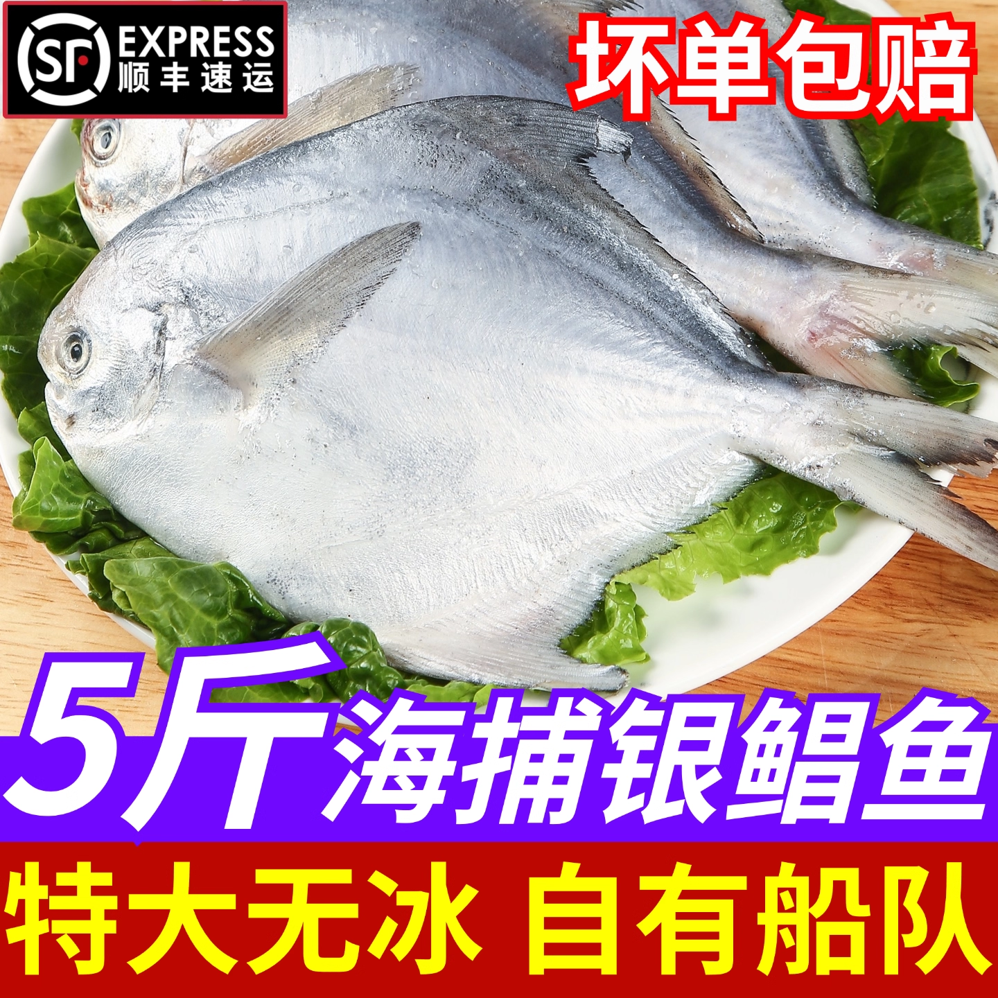 舟山野生鲳鱼新鲜冷冻东海海捕大白鲳鱼特大银鲳鱼顺丰冷链包邮,水产肉类/新鲜蔬果/熟食,鲳鱼,淘宝优惠券,粉丝福利购,淘宝优惠卷