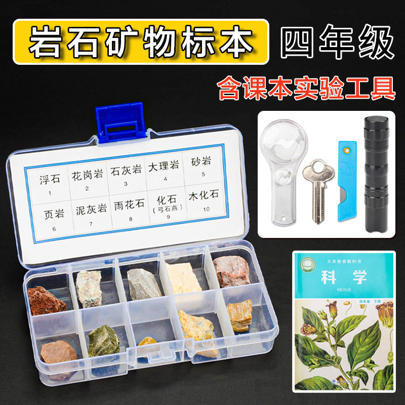 四年级科学下册小学生矿物岩石标本盒学生用教具学具教学地理地质砾岩