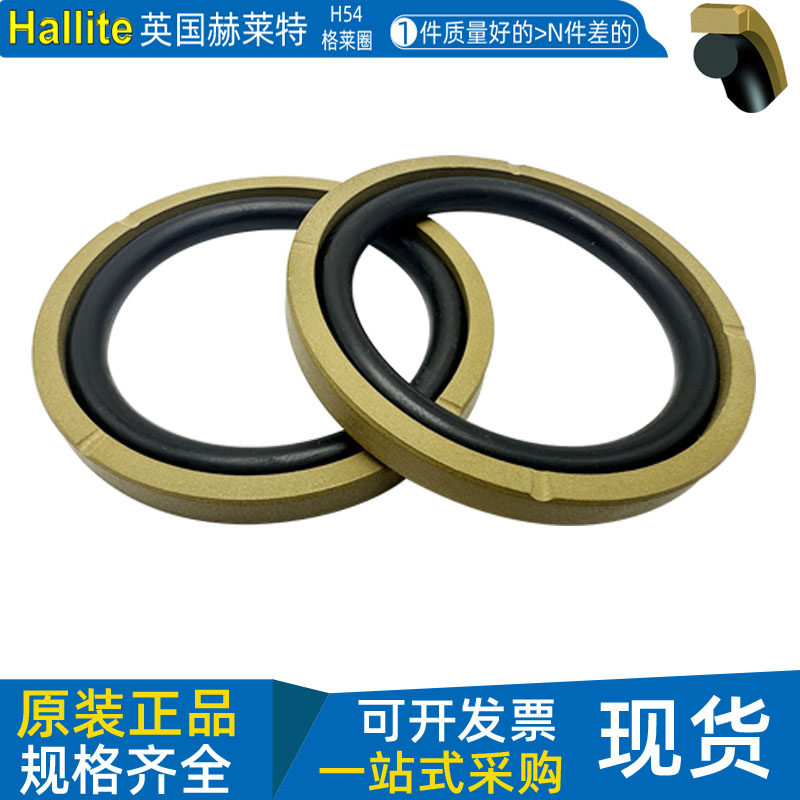 英国赫莱特H54四氟格莱圈活塞封