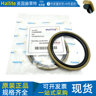 英国赫莱特H54四氟格莱圈活塞封