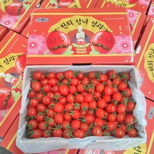小甜国釜山88小番茄礼盒装3斤当季新鲜水果圣女果千禧果玲珑果