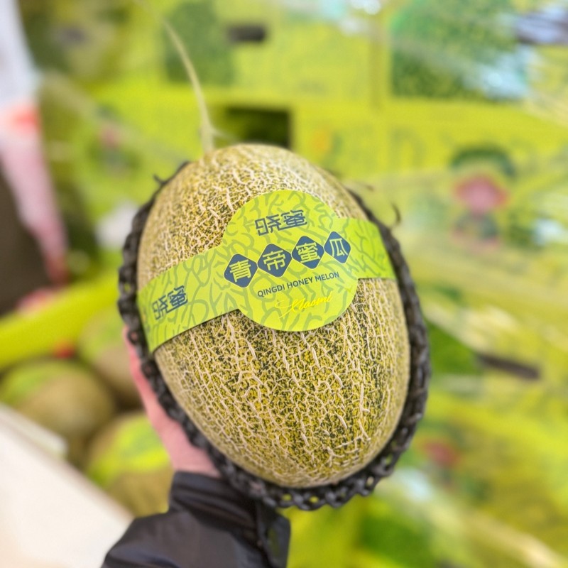 胜杰农业晓蜜青帝蜜瓜礼盒装4颗大果新鲜水果网纹哈密瓜脆甜多汁,水产肉类/新鲜蔬果/熟食,哈密瓜,淘宝优惠券,粉丝福利购,淘宝优惠卷