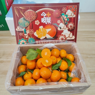 正宗砂糖橘礼盒装5斤新鲜水果现摘广西沙糖桔子皮薄甜嫩多汁包邮