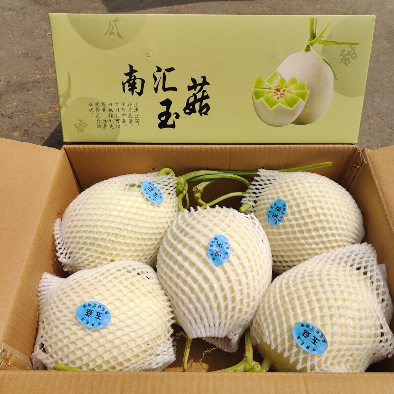 上海南汇玉茹甜瓜礼盒装当季新鲜水果现摘纯甜蜜瓜软糯多汁包邮