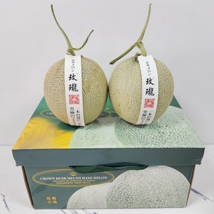 日本品种玫珑网纹蜜瓜礼盒2只装静冈网纹瓜新鲜水果海南玫珑蜜瓜