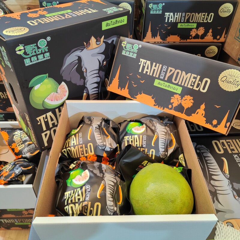 泰国翡翠柚礼盒装4颗大果青柚金柚泰柚子新鲜水果皮厚肉嫩汁包邮