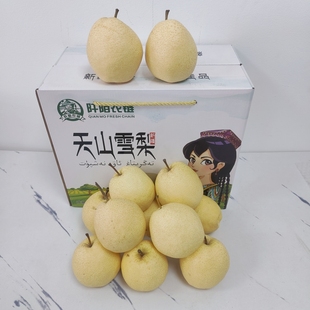 正宗新疆天山雪梨原箱礼盒8斤装新鲜水果白皮梨酥梨脆甜多汁包邮
