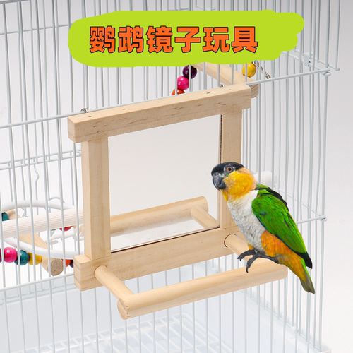 鹉林花椒木站架镜虎皮玄凤啃咬棒