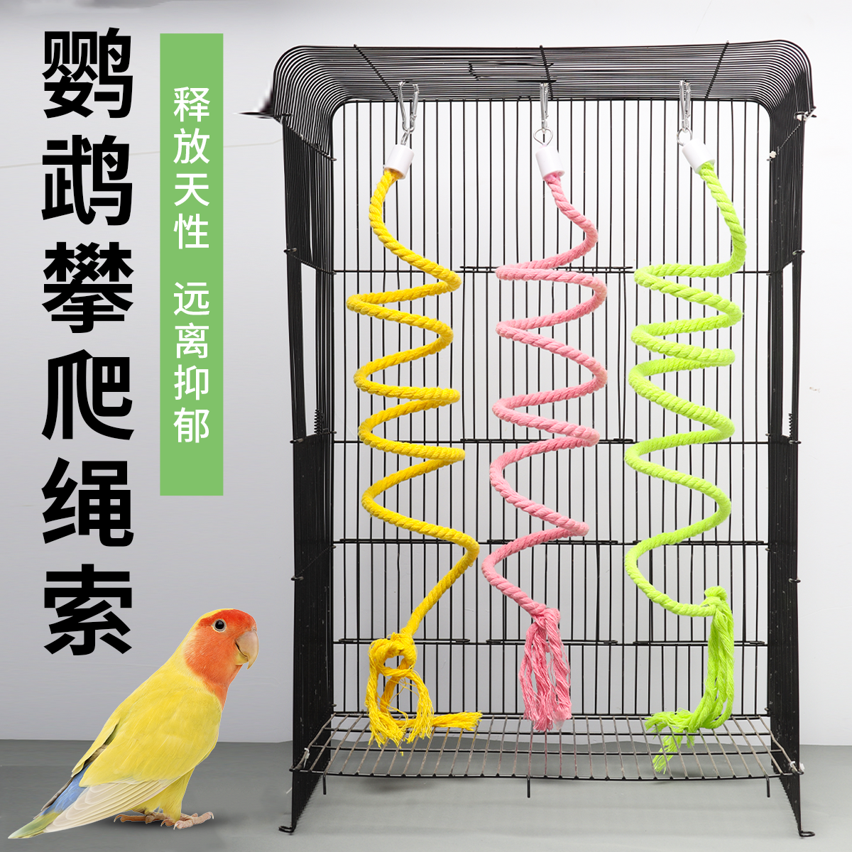 虎皮鹦鹉玩具秋千云梯攀爬绳索彩色鸟笼秋千牡丹玄凤鸟笼玩具用品,宠物/宠物食品及用品,鸟秋千,淘宝优惠券,粉丝福利购,淘宝优惠卷