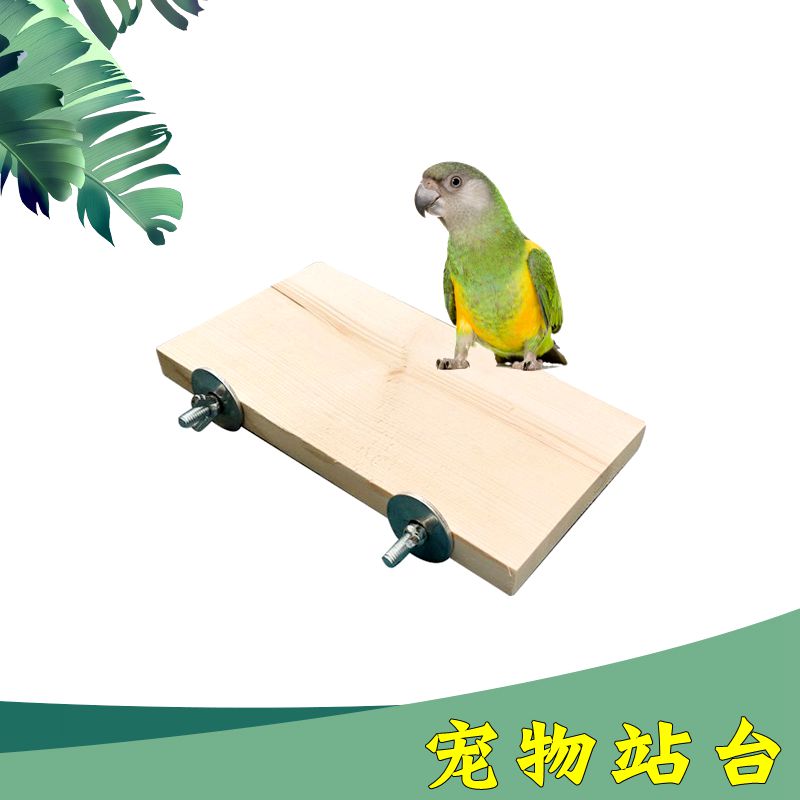 虎皮鹦鹉实木站台平台玩耍鹉林