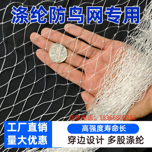 涤纶防鸟网高强度抗晒抗腐蚀耐用