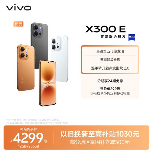 vivox300e手机新品上市