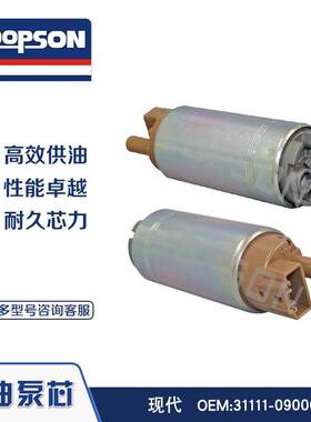 DOPSON 燃油泵芯 31111-09000 31111-37300 3111109000 高效供油