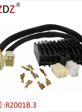 2001B.3 胜利摩托车整流器 Triumph Daytona 600 T1300560