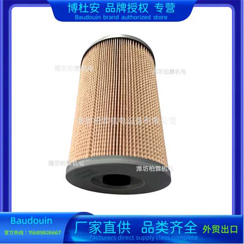 燃气滤清器滤芯617024000009潍柴博杜安12M2612M33原厂