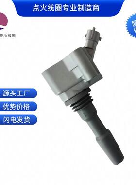 3603040C13L 79012002 77580003点火线圈适用于奔腾 一汽