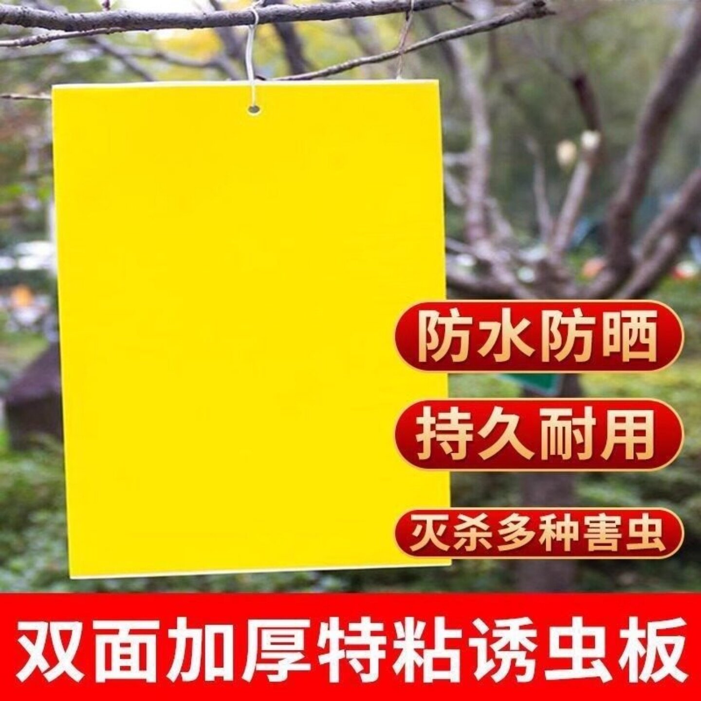 果园大棚双面黄板高效诱虫贴纸灭小飞虫果蝇蚊子苍蝇粘虫工具实用