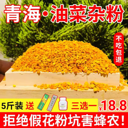 油菜杂粉花粉喂蜂包邮5斤天然花粉颗粒养蜂中蜂专用蜂粮蜜蜂饲料