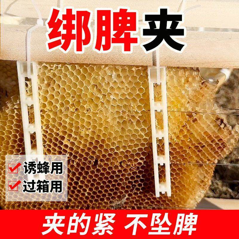 顶格巢脾夹过箱导础夹子野蜂过箱土养圆桶夹脾塑料夹绑脾条固定条