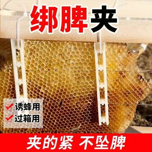 顶格巢脾夹过箱导础夹子野蜂过箱土养圆桶夹脾塑料夹绑脾条固定条