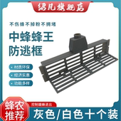 中蜂防逃框防盗器养蜂王笼防意蜂盗中蜂巢门防跑隔片蜜蜂工具蜂箱