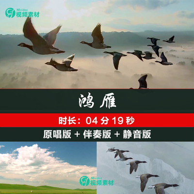 鸿雁 降央卓玛原唱伴奏草原歌曲LED大屏幕舞台背景视频素材