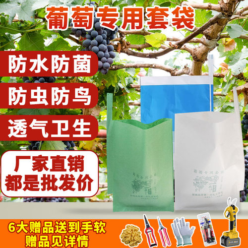 葡萄套袋专用袋阳光玫瑰杨桃袋子