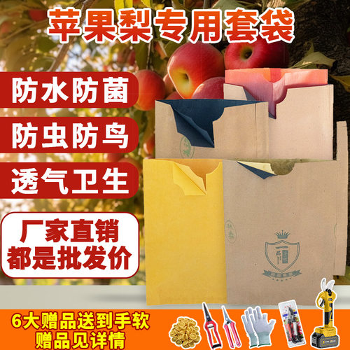 一品金农梨子套袋秋月黄金梨丰水
