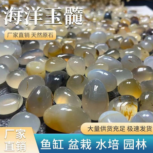 天然海洋玉髓玛瑙多肉装饰花盆鹅卵石鱼缸造景铺面石子水培小石头