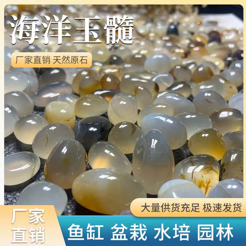 雨花石玛瑙铺面石多肉鱼缸造景盆栽水培鹅卵石原石海洋玉髓小石子