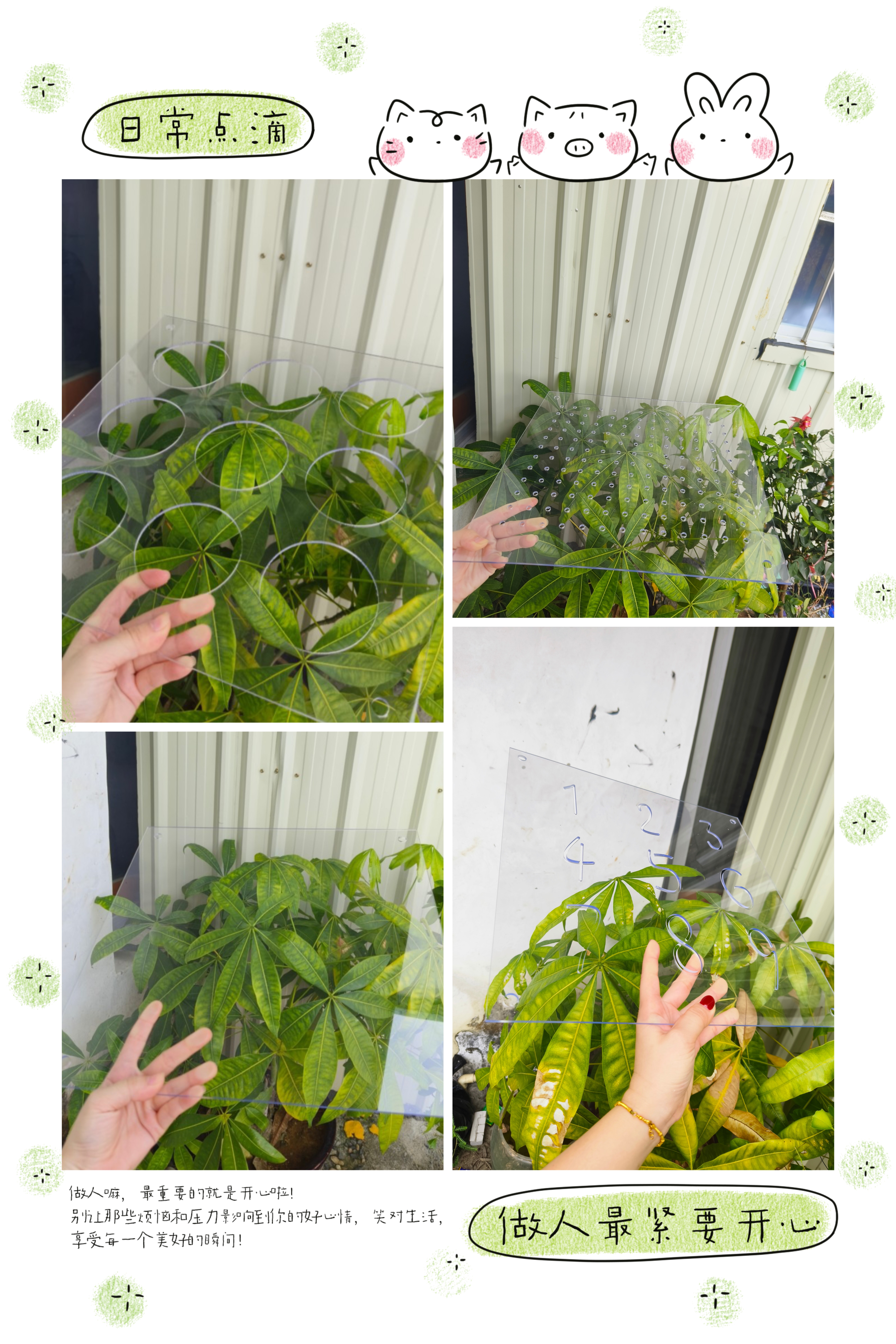 儿童管道攀爬架亚克力太空舱高透明装饰板海洋球池洞洞板忙碌版,基础建材,亚克力板,淘宝优惠券,粉丝福利购,淘宝优惠卷