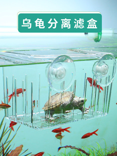 龟缸隔离盒乌龟发色盒龟苗饲养小龟黑色蛋龟白色隔离箱活体孵化盒