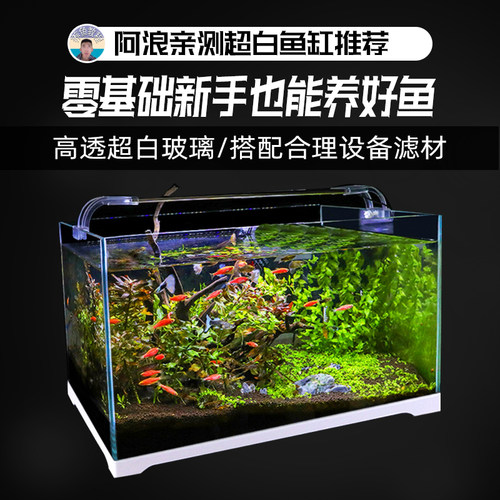 中小型桌面生态缸水草造景鱼缸