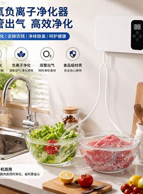 臭氧负离子果蔬消毒清洗机去农残