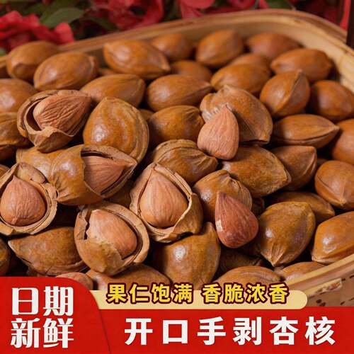 新货开口杏核熟炒带壳小白杏仁核