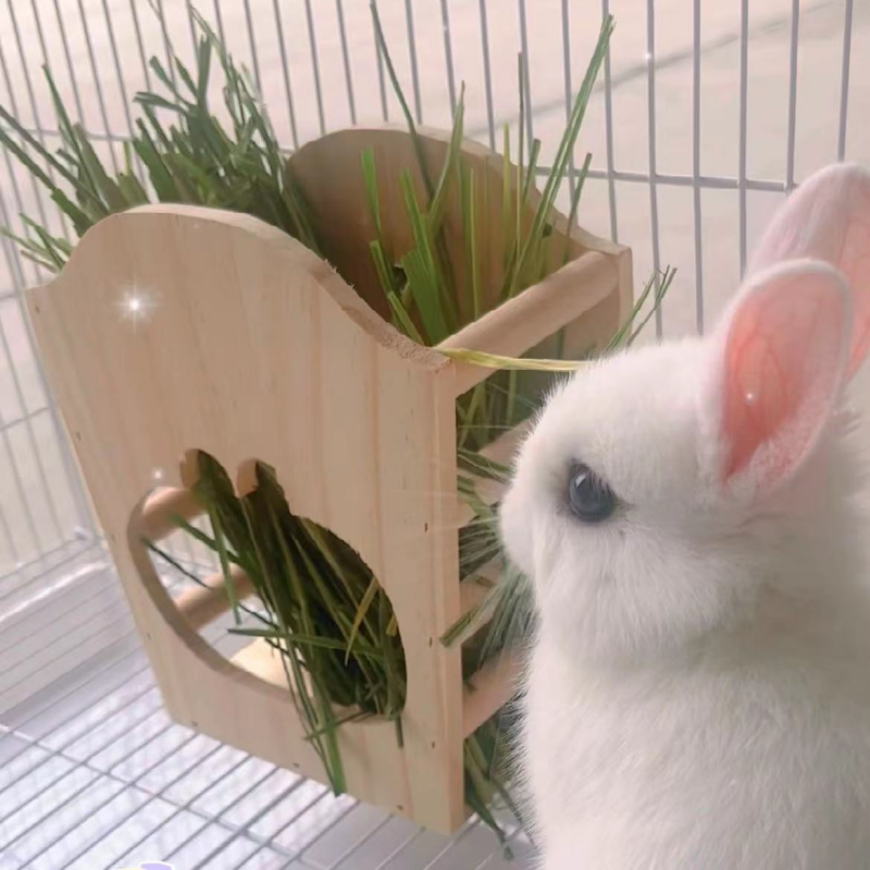 织萌小宠兔子草架实木