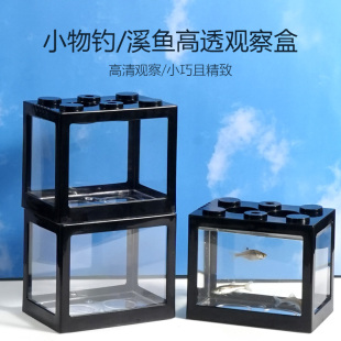 观鱼盒小物钓路亚野采溪流原生鱼鳑鲏白条马口溪石斑小鱼类观察盒
