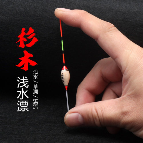 芦苇浅水漂鲫鱼醒目加粗皮草