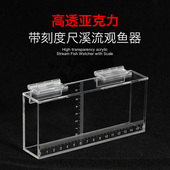 老季 野采路亚飞钓马口带刻度尺溪流马口亚克力 透明水晶观察鱼盒