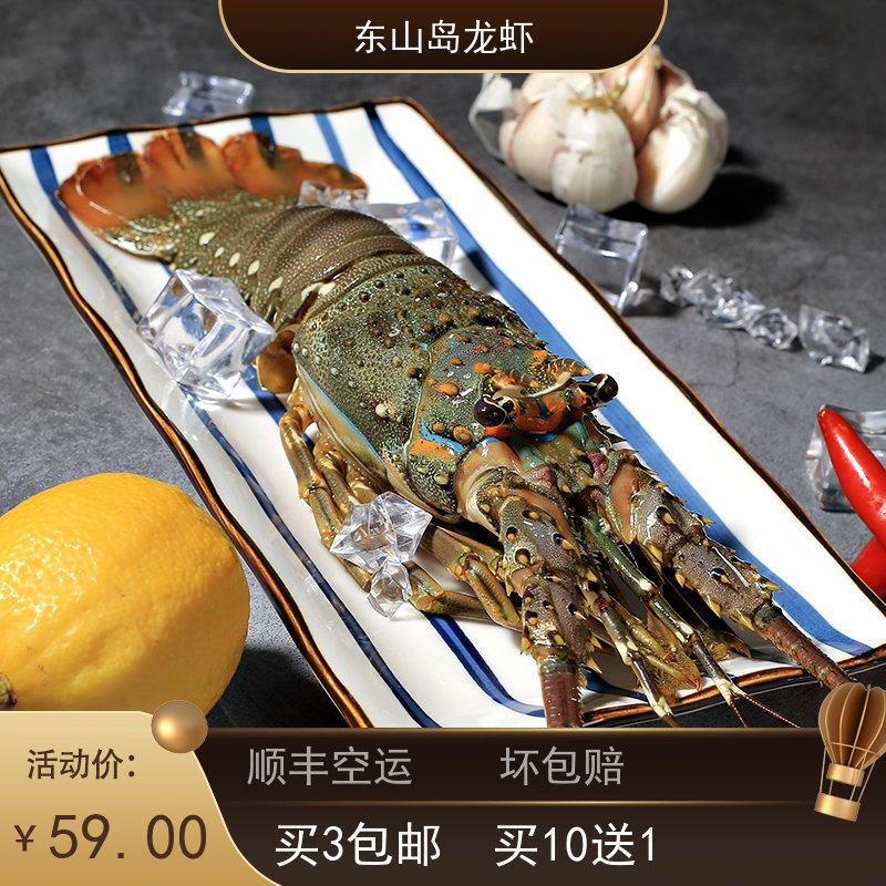 小青龙虾东山岛野生海鲜水产鲜活速冻龙虾海捕活冻大龙虾冷冻青龙
