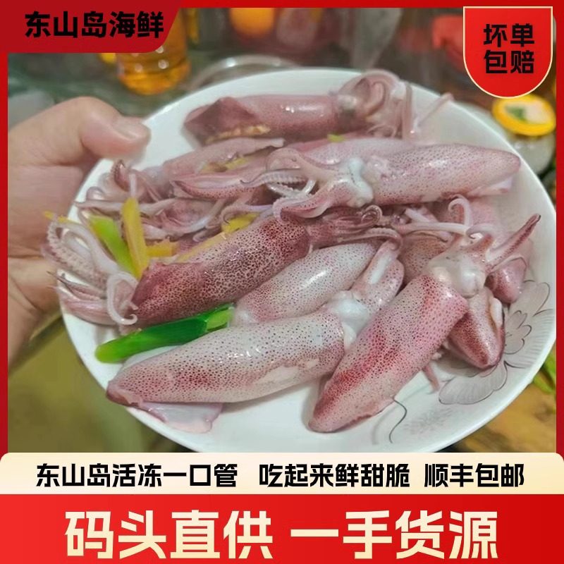 东山岛野生海鲜灯光照小管鱿新鲜活冻一口管鱿鱼活冻小管尤鱼包邮