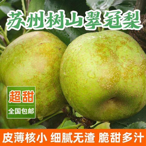 苏州树山新鲜水果翠冠梨礼盒装