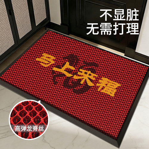 藏污免洗弹力丝入户地垫耐脏家用