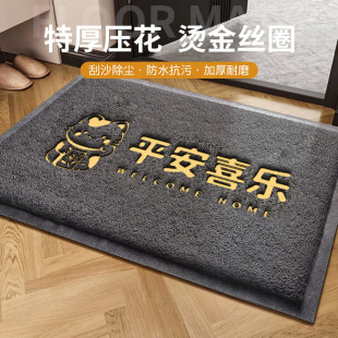 入户门地垫大门口进门丝圈脚垫门外玄关进户除尘门垫出入平安地毯